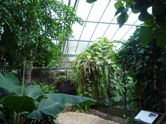 Dvůr Králové -Zoo