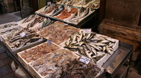 Ryby – Bolonia, Włochy