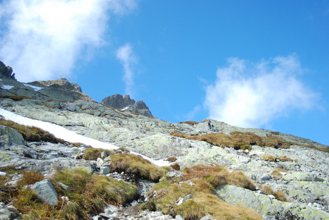 Dsc 2384