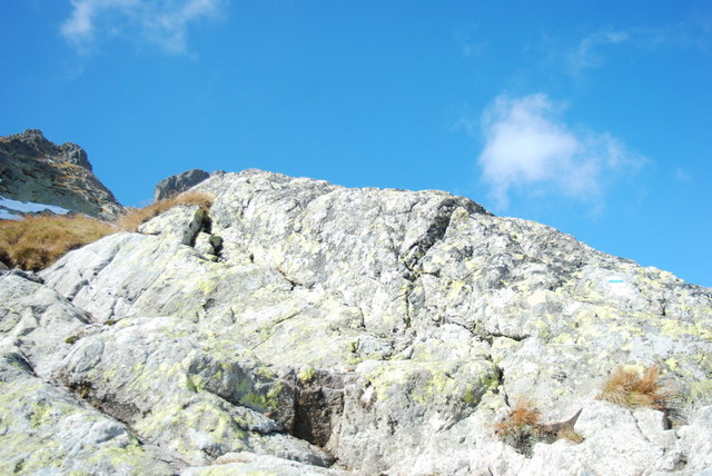Dsc 2395