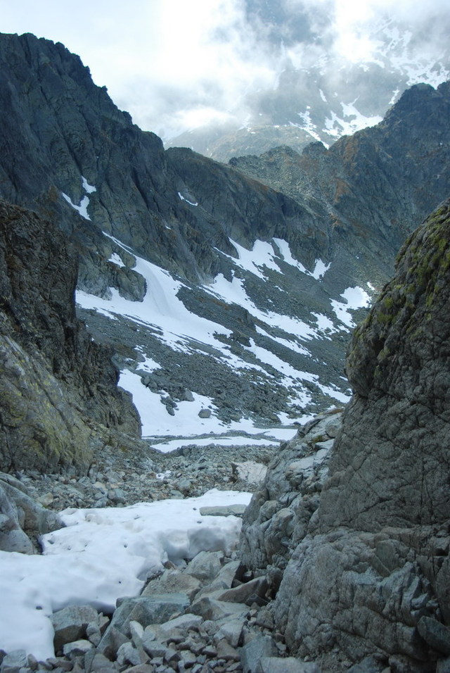 Dsc 2462