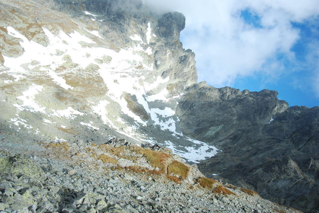 Dsc 2518