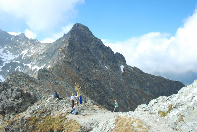 Dsc 2532