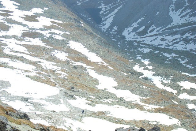 Dsc 2540