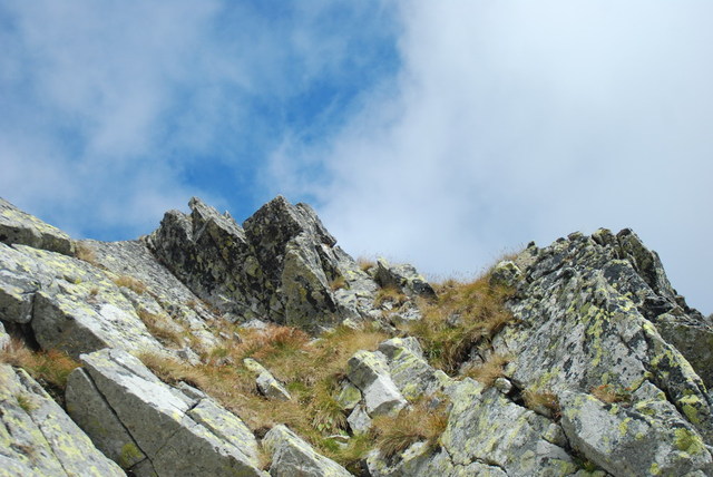 Dsc 2543