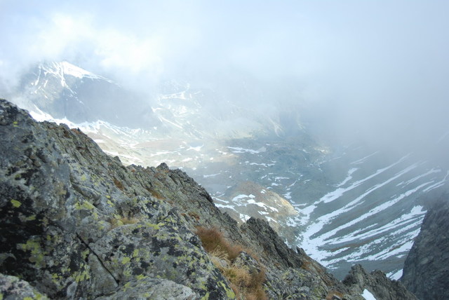 Dsc 2600