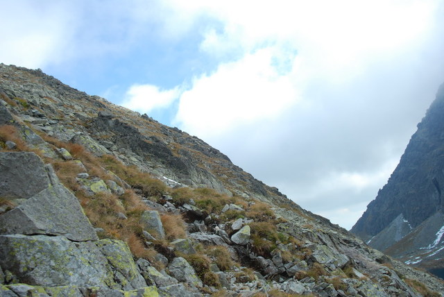 Dsc 2696