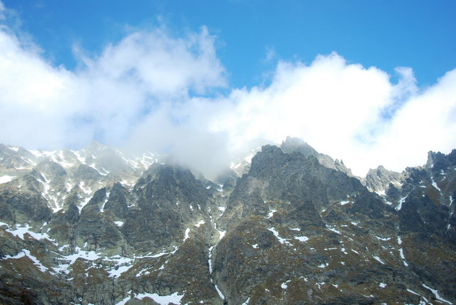 Dsc 2719