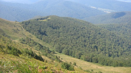 Widoki ze szcytu w stronę wschodnią – Bieszczady, Polska