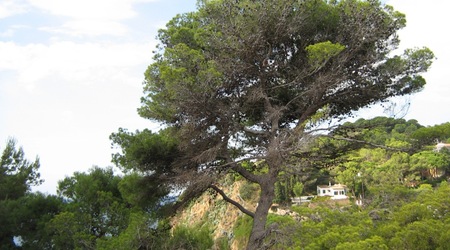 Tossa de Mar – Hiszpania