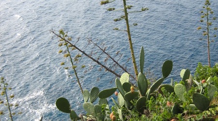 Tossa de Mar – Hiszpania