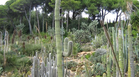 Ogród botaniczny - Marimurtra – Blanes, Hiszpania