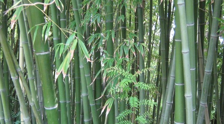 Ogród botaniczny - Marimurtra – Blanes, Hiszpania