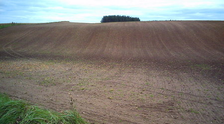 Jesień - okolice Lubawy – Lubawa, Polska