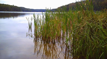 Jesień - okolice Lubawy – Lubawa, Polska