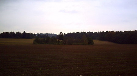 Jesień - okolice Lubawy – Lubawa, Polska