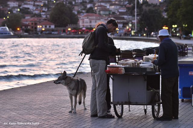 Ochryda - jezioro jak morze..