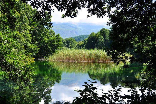 Svaty Naum - przed monastyrem..