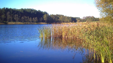 Jesień - okolice Brodnicy – Lubawa, Polska