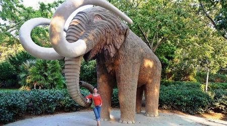Barcelona Park Cytadela - kamienny mamut – Hiszpania
