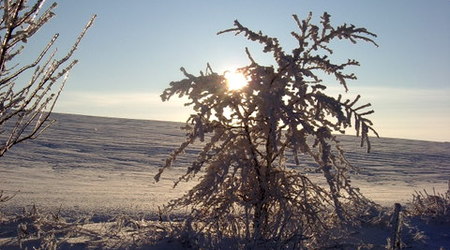 Zima – Zawiercie, Polska