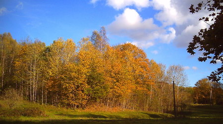 Jesień - okolice Lubawy – Lubawa, Polska