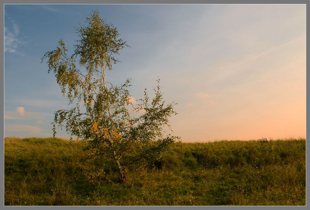 Zawidowskie klimaty