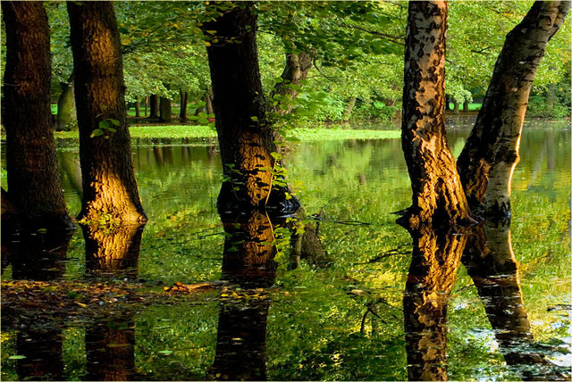 Zalany park w Zgorzelcu