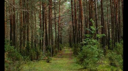 Podlasie – Polska