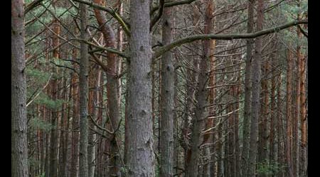 Podlasie – Polska
