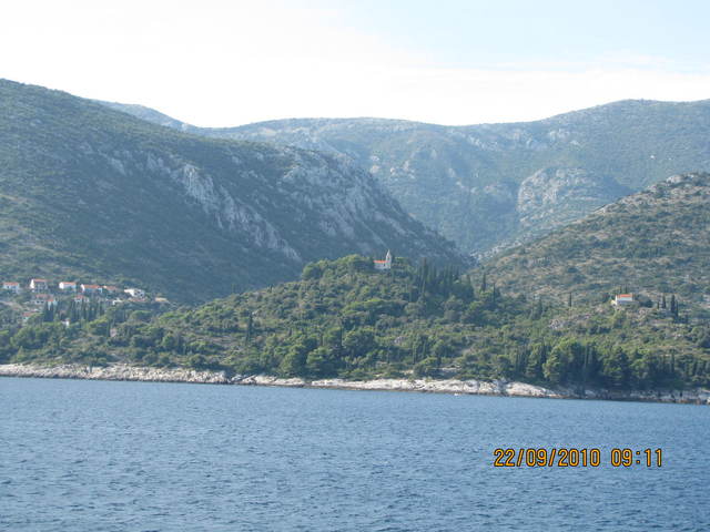 Img 1064
