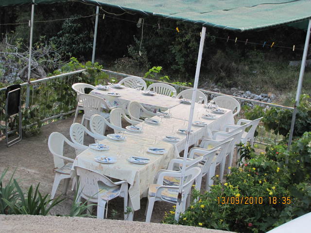 Img 0711