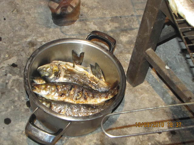 Img 0715