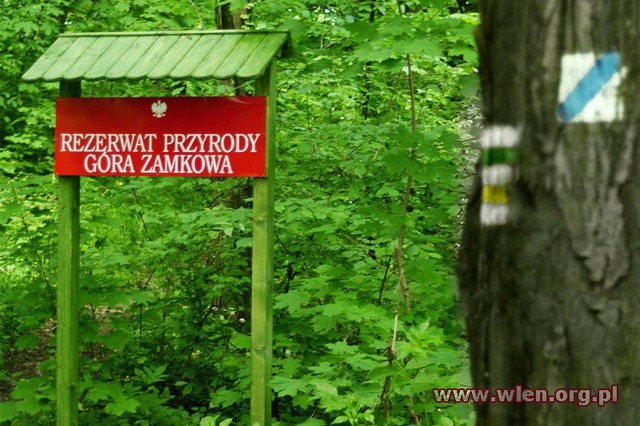 Rezerwat Przyrody Góra Zamkowa - Wleń