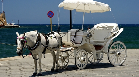 Chania dorożka w porcie – Chaniá, Grecja