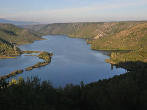 Krka