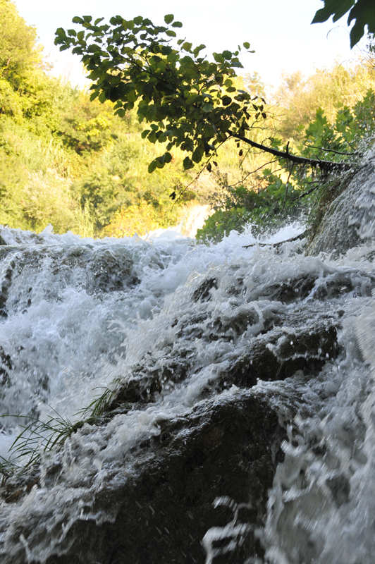 Krka  28 