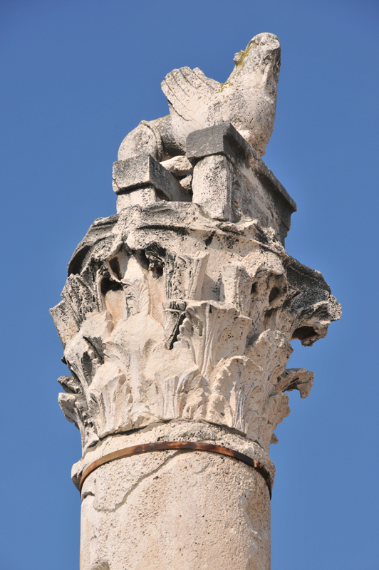 Zadar  10 Kolumna hańby