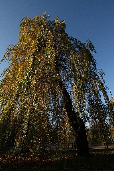 Img 0615