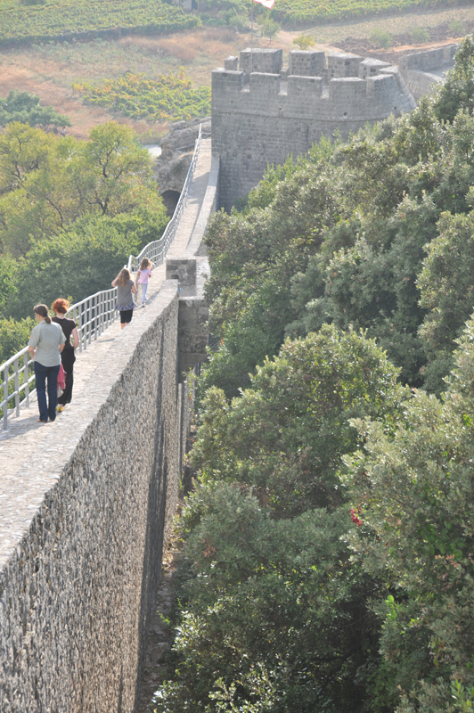 Ston 13 - Mury XIV w twierdzy