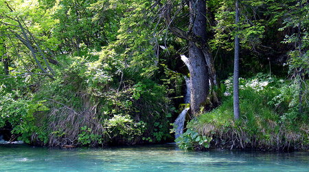 367516 - Chorwacja Słonko i natura
