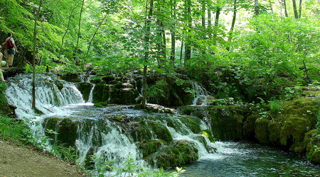 367519 - Chorwacja Słonko i natura