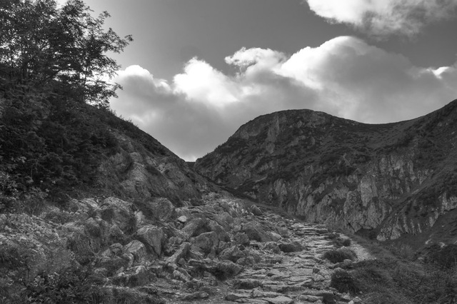 Tatry - Dolina Jaworzynki
