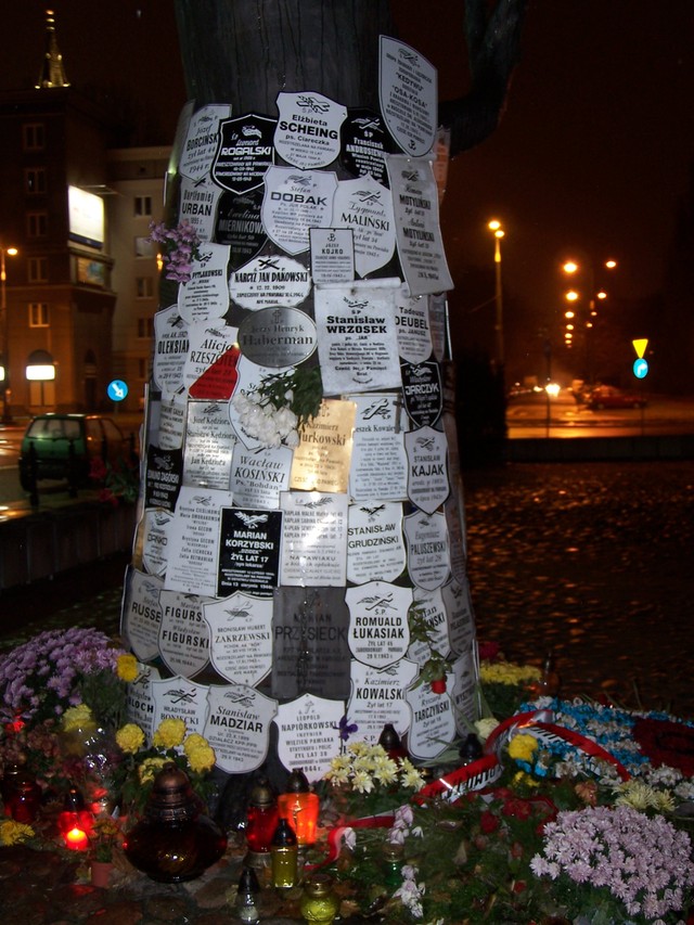 Odlany wiąz spod resztek rosyjskiego więzienia-Pawiak w Warszawie.