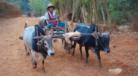Imgp3964 – Kalaw, Birma