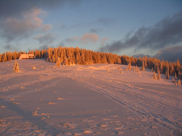 Gorce