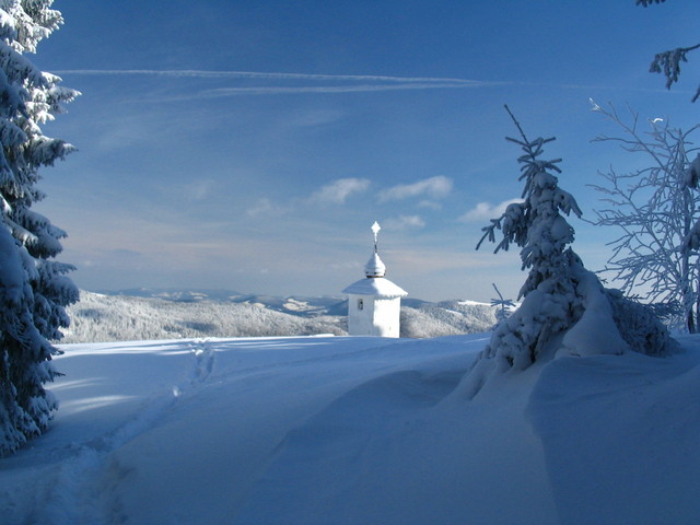 Gorce