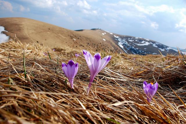 Wielka Fatra