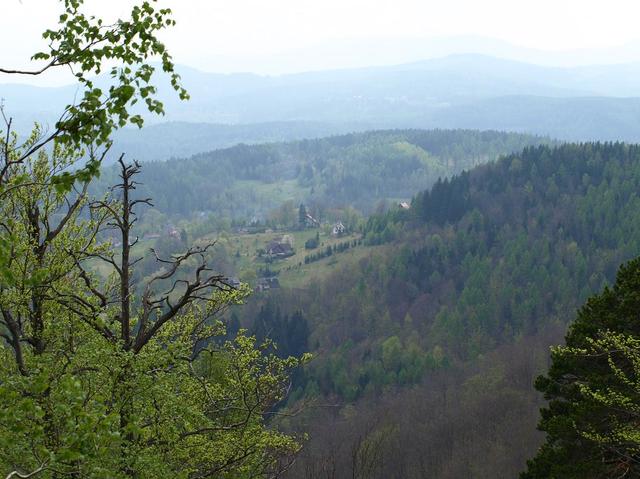 ZUCHEŁMIE