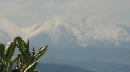 Szczawnica – Polska